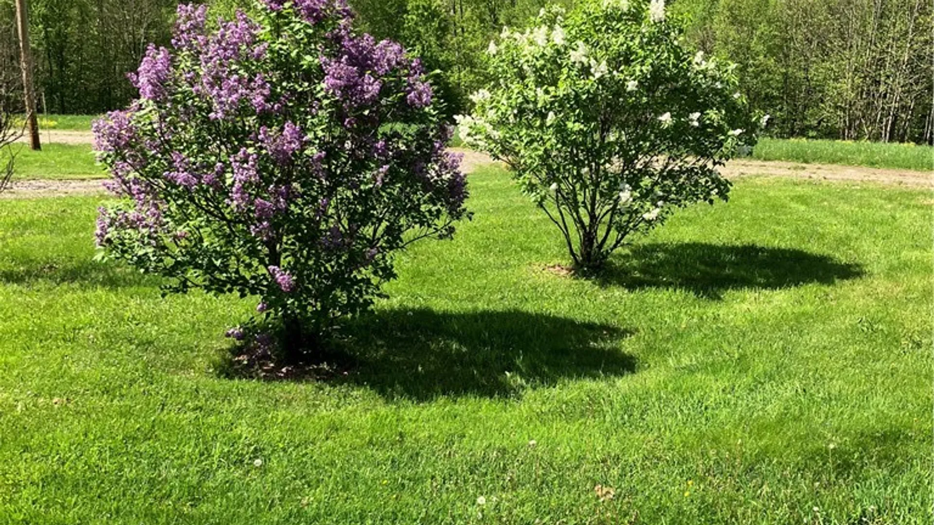 Property at 540 Lewis Road, Tompkins, NY 13856 12