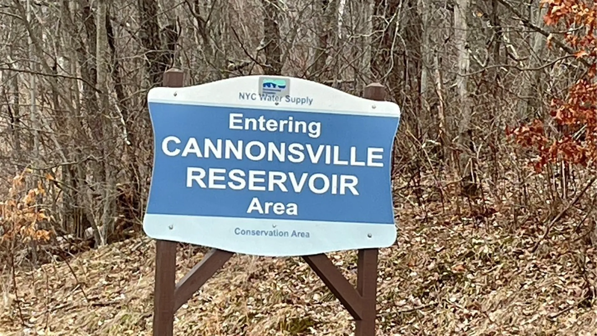 Property at 540 Lewis Road, Tompkins, NY 13856 37