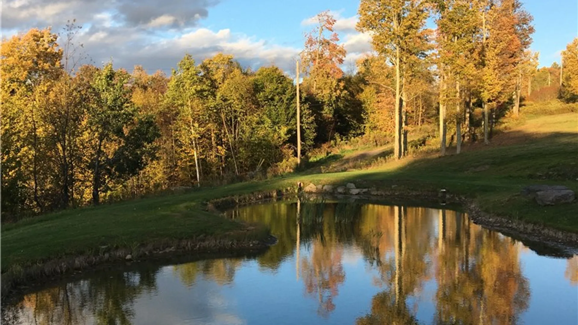 Property at 540 Lewis Road, Tompkins, NY 13856 6