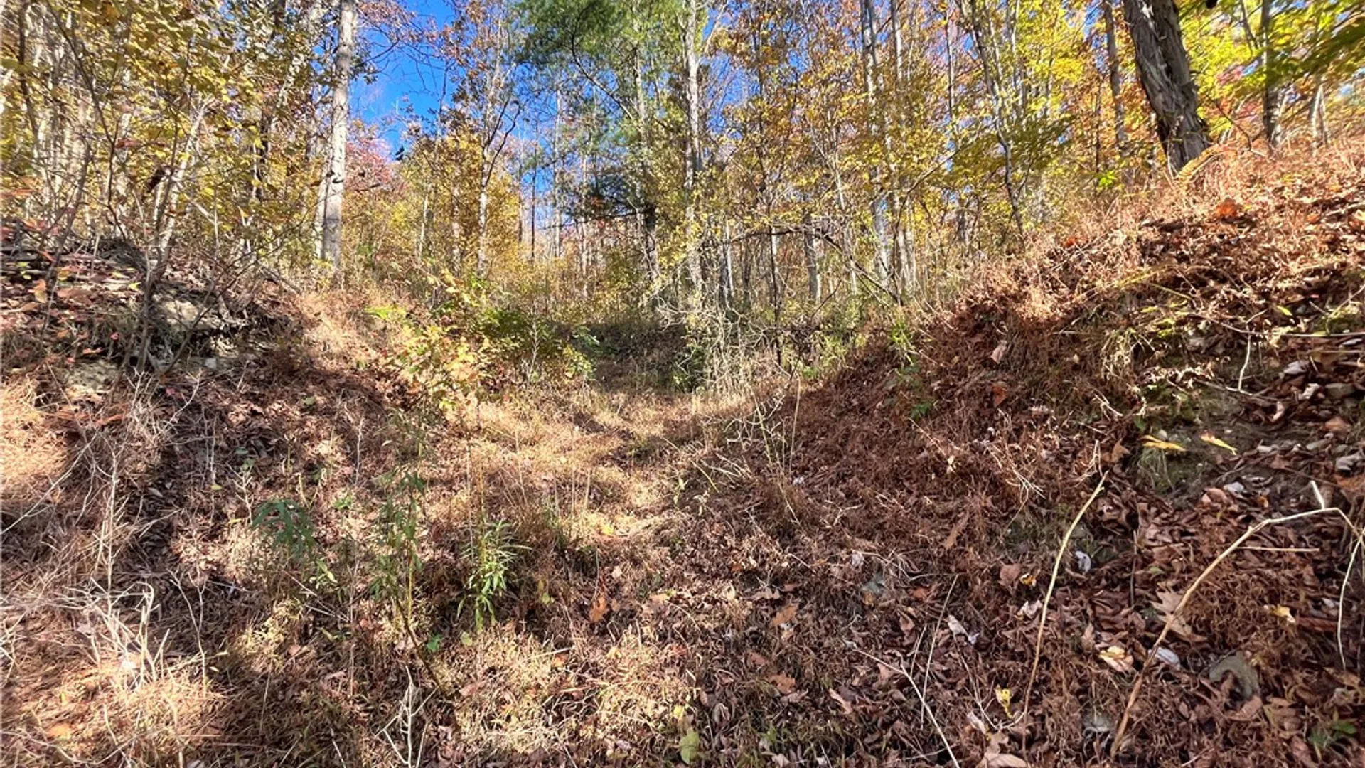 Property at State Route 34, Barton, NY 13734 10