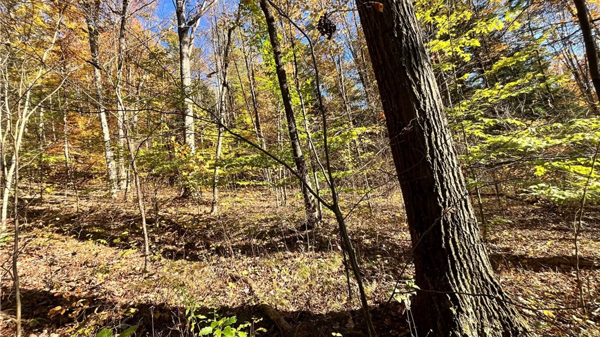 Property at State Route 34, Barton, NY 13734 11