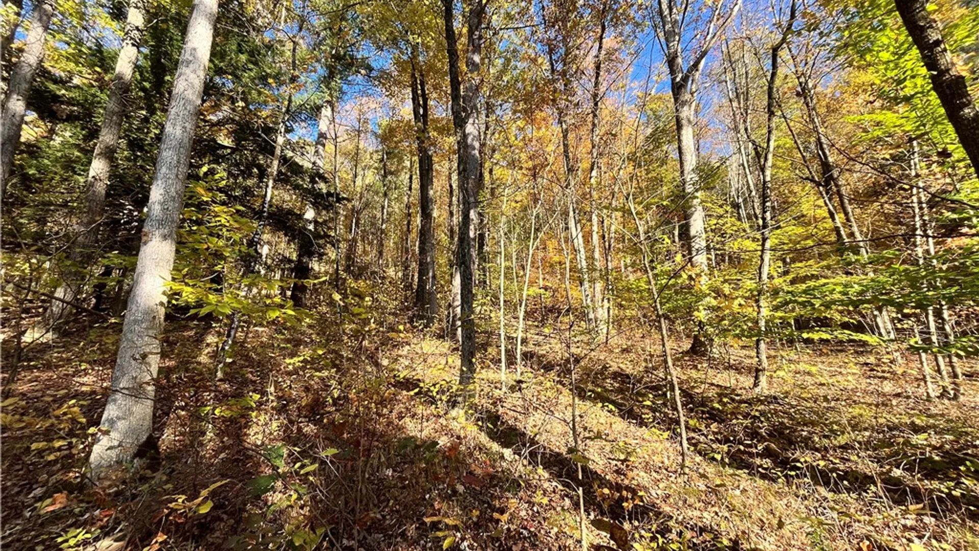 Property at State Route 34, Barton, NY 13734 12