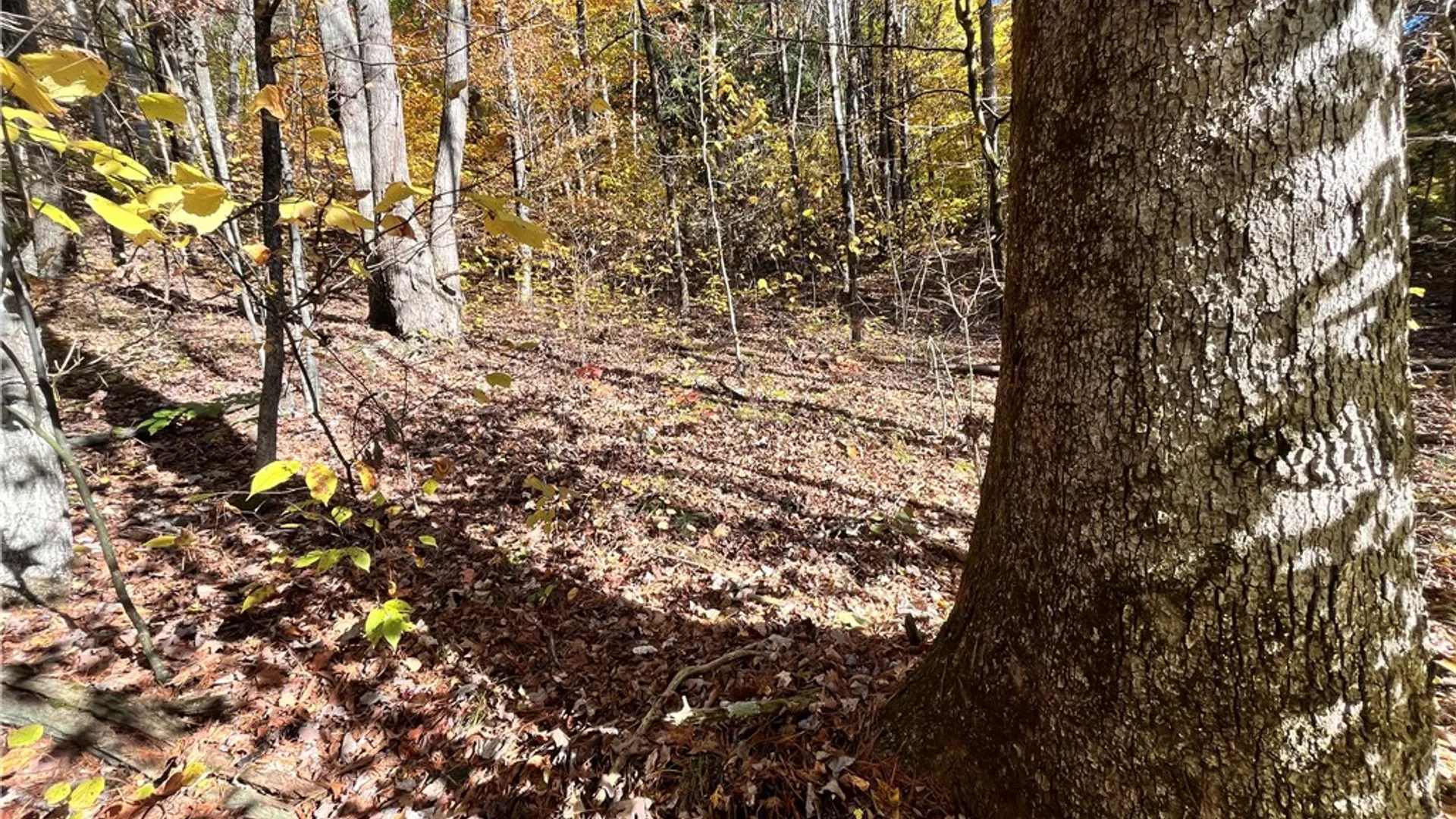 Property at State Route 34, Barton, NY 13734 13