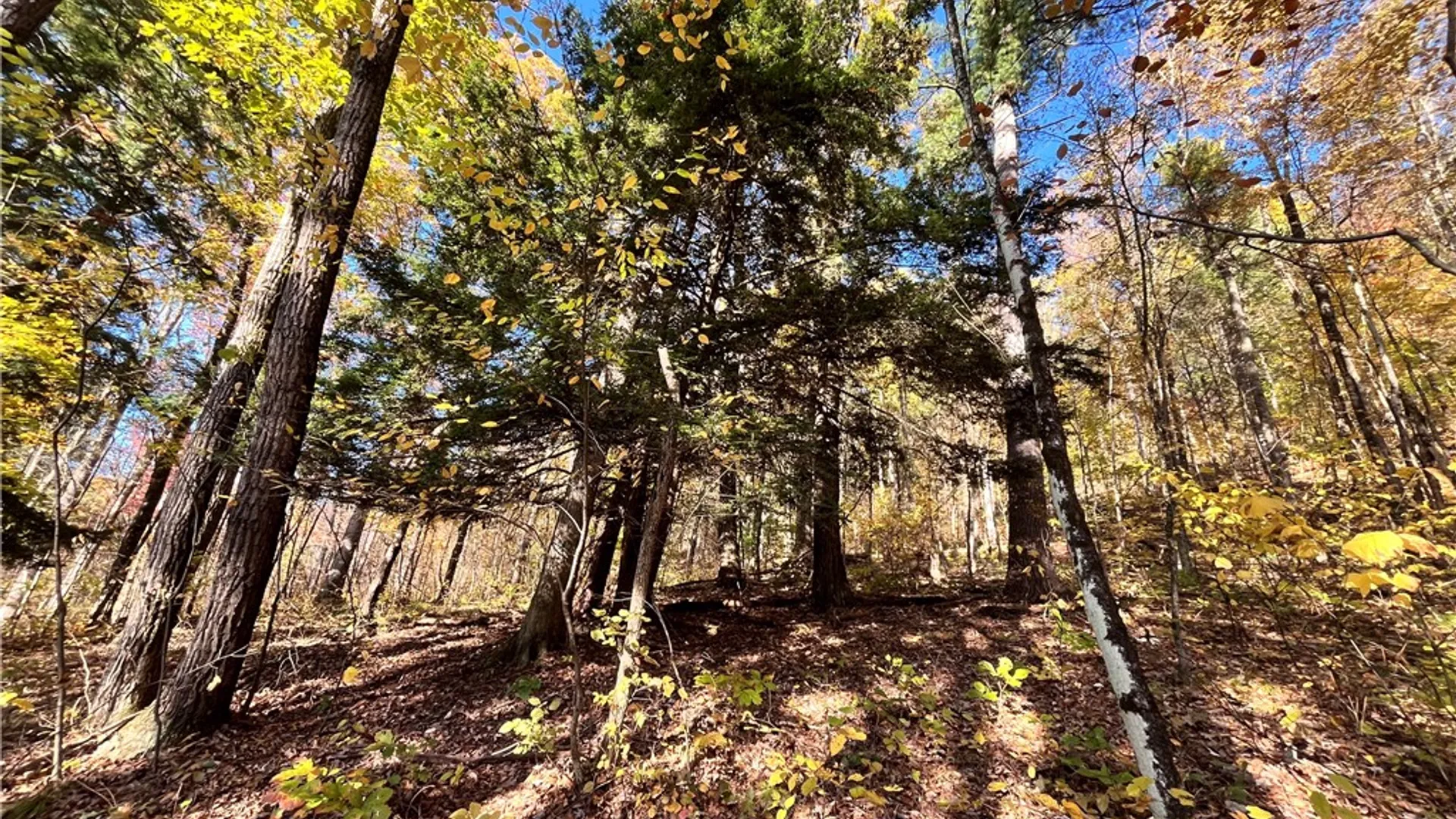 Property at State Route 34, Barton, NY 13734 14