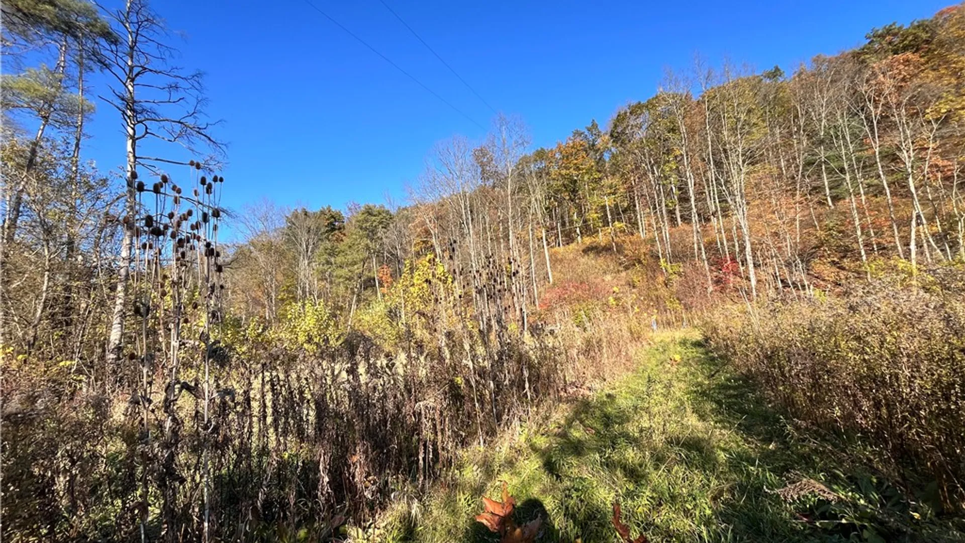 Property at State Route 34, Barton, NY 13734 15