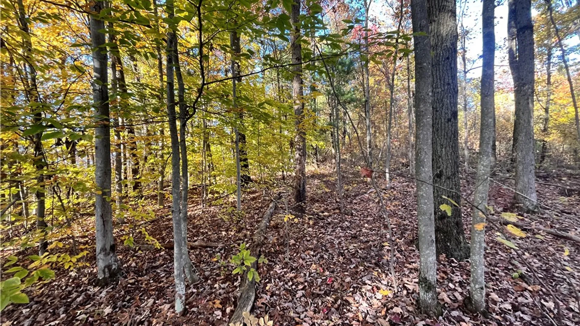 Property at State Route 34, Barton, NY 13734 16