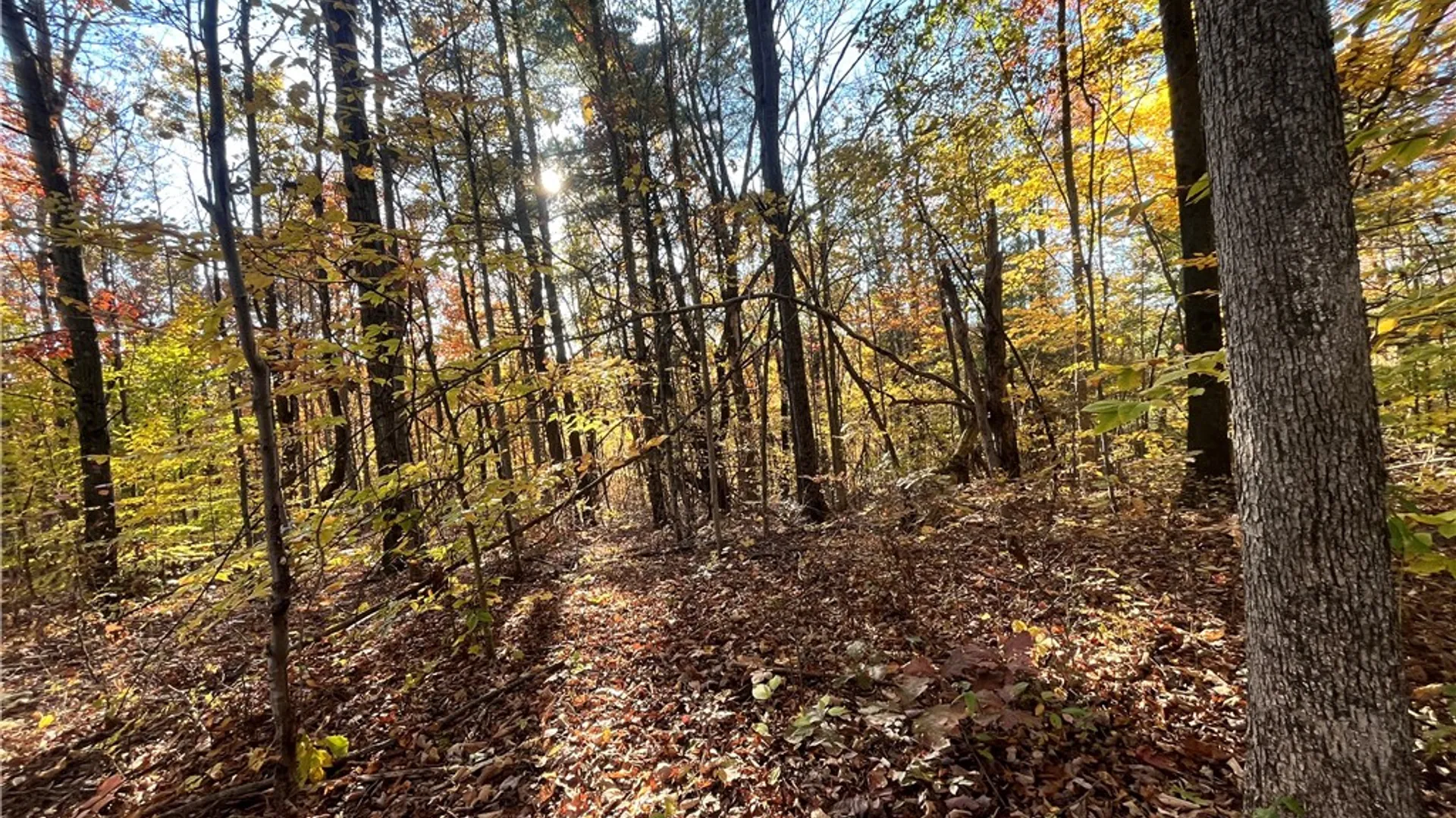 Property at State Route 34, Barton, NY 13734 17