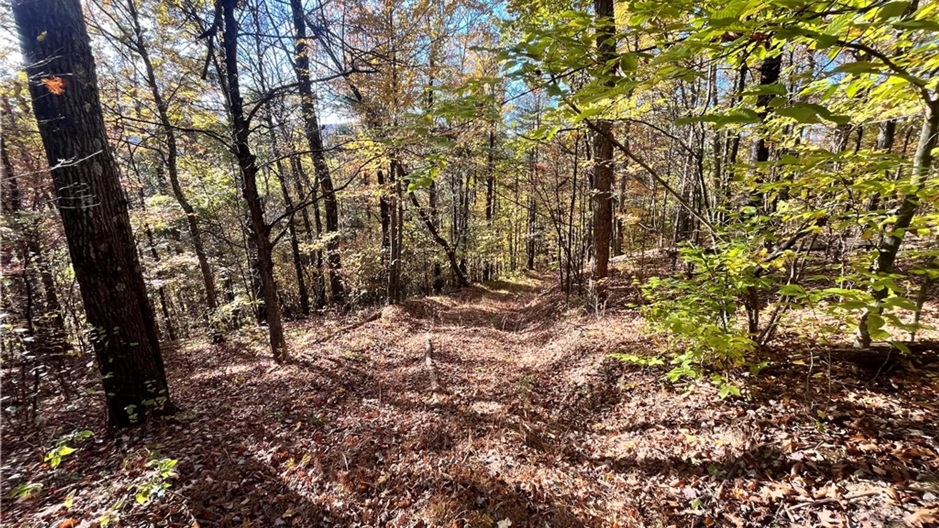 Property at State Route 34, Barton, NY 13734 18