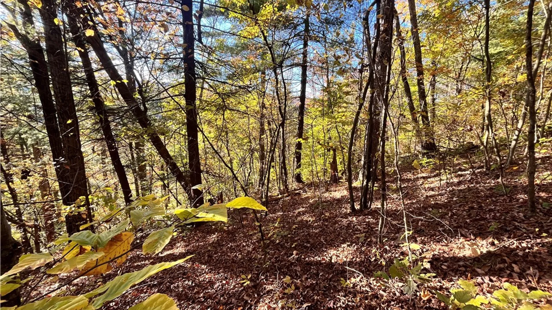 Property at State Route 34, Barton, NY 13734 19