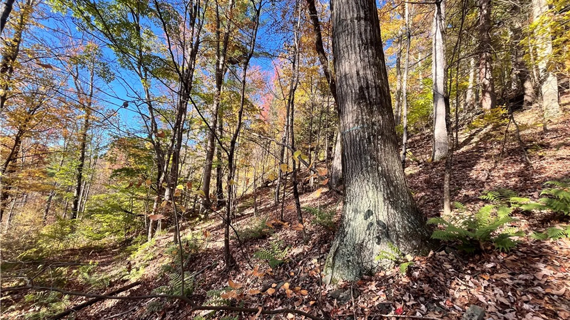 Property at State Route 34, Barton, NY 13734 20