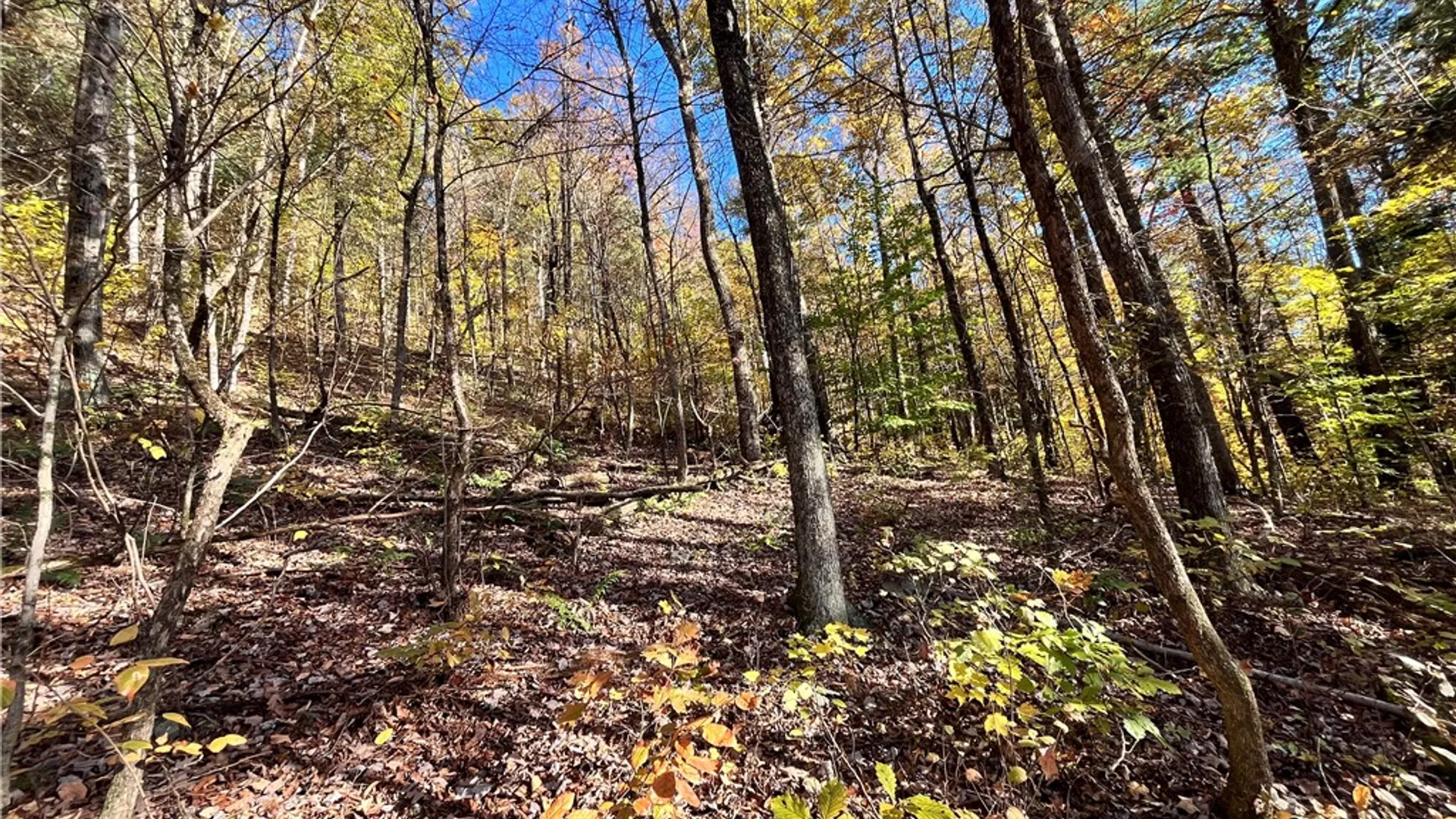 Property at State Route 34, Barton, NY 13734 21