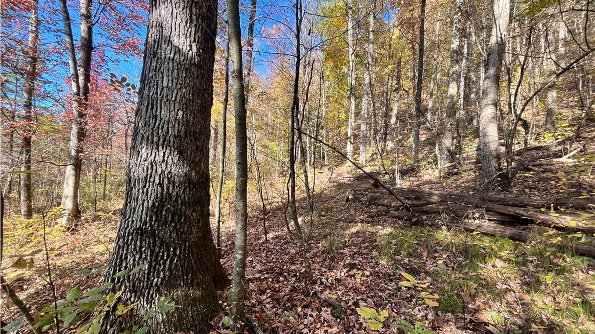 Property at State Route 34, Barton, NY 13734 22