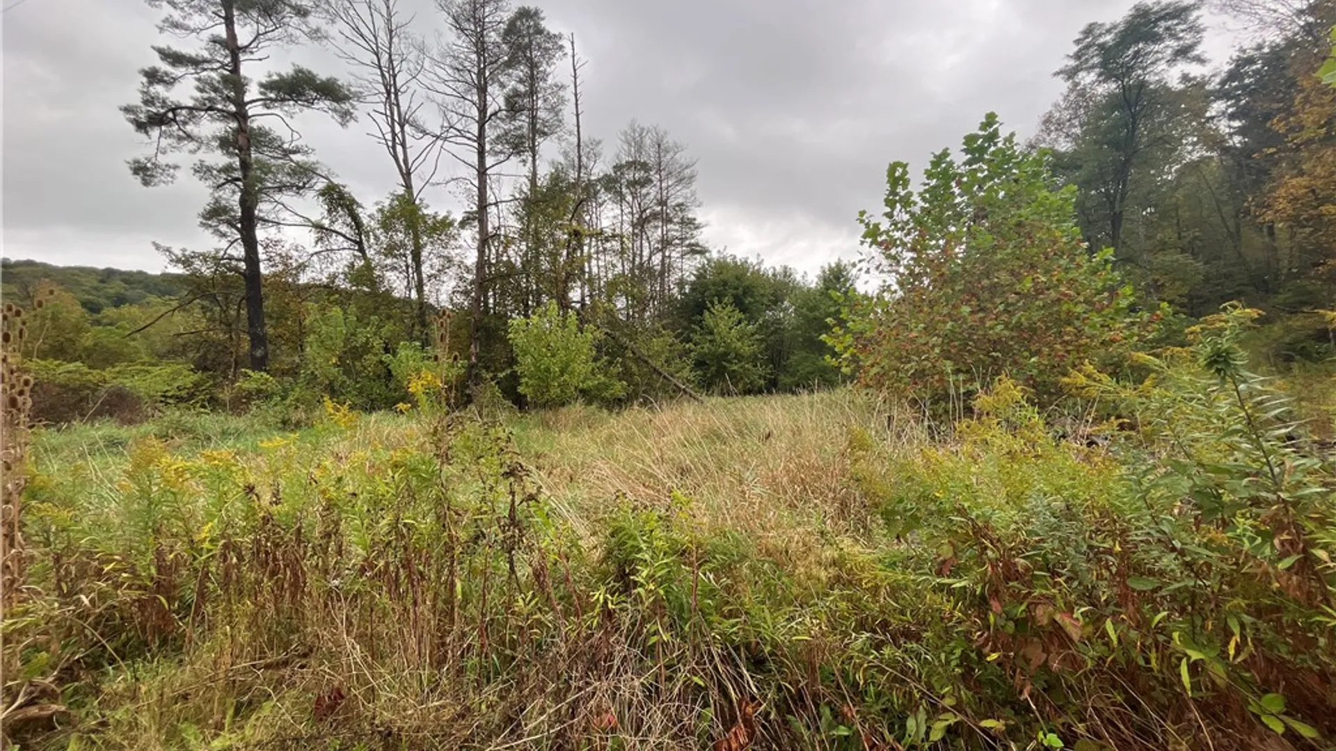 Property at State Route 34, Barton, NY 13734 23