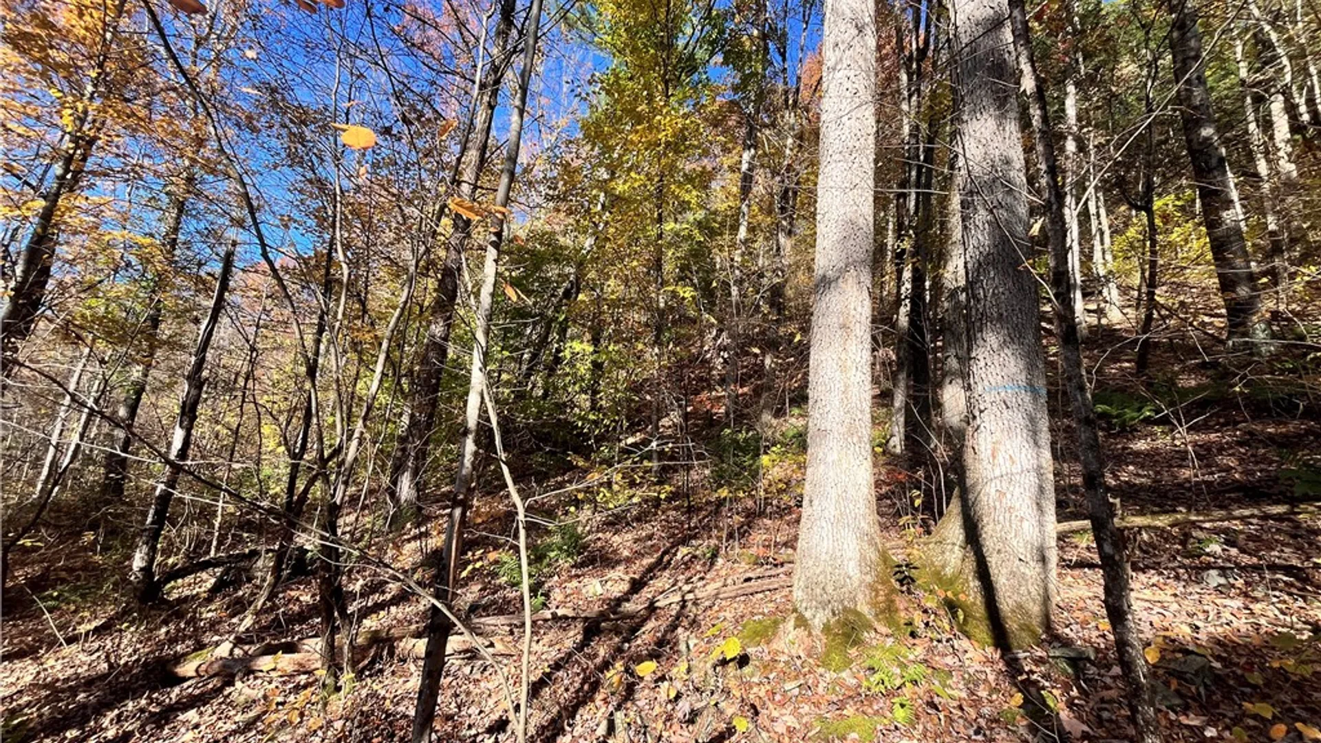 Property at State Route 34, Barton, NY 13734 24