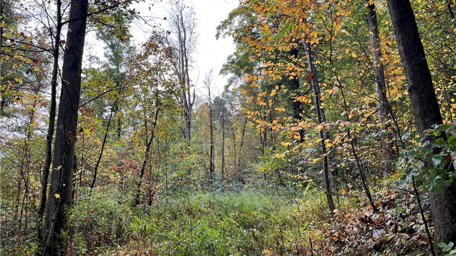 Property at State Route 34, Barton, NY 13734 26