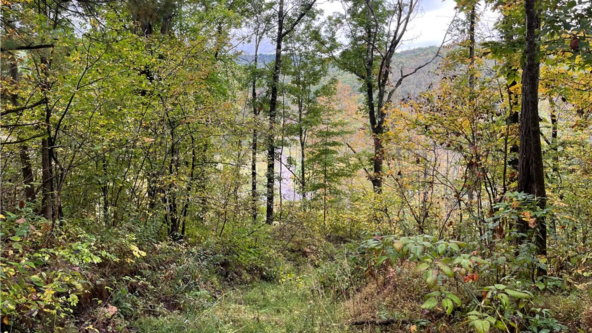 Property at State Route 34, Barton, NY 13734 27