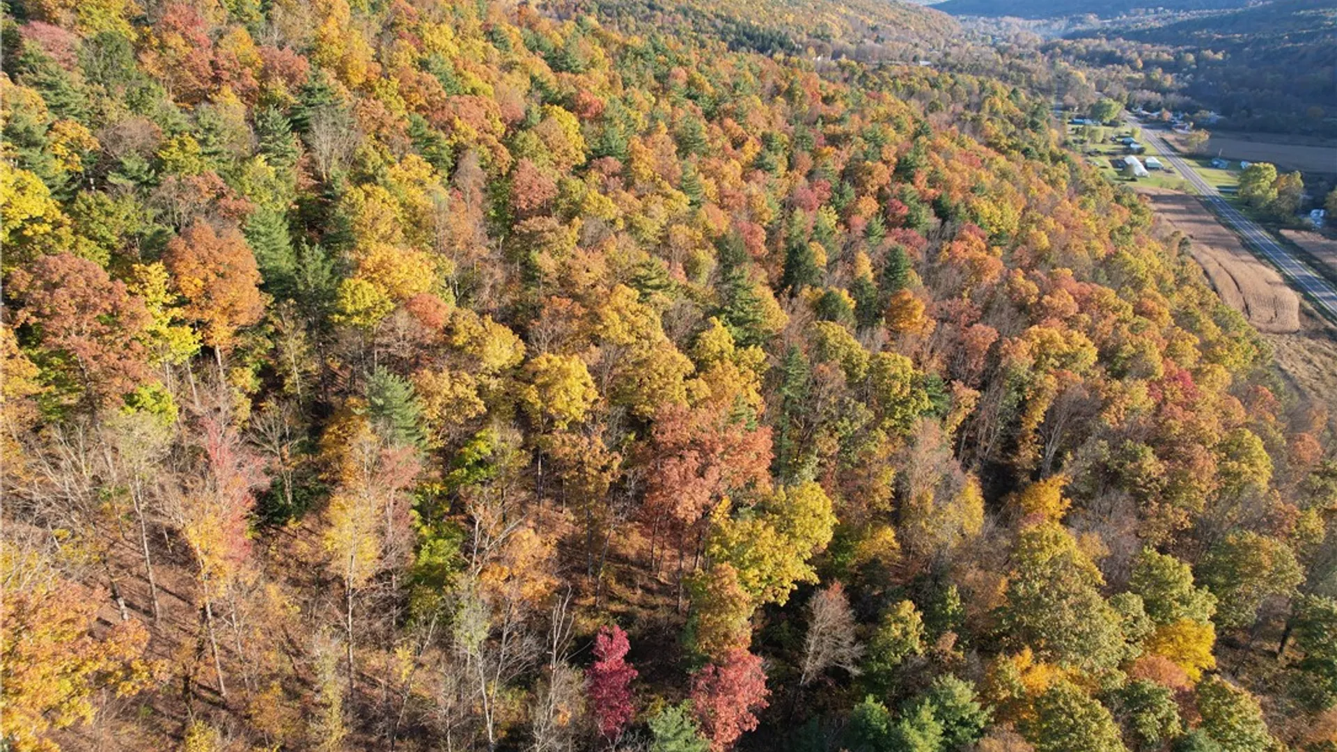 Property at State Route 34, Barton, NY 13734 3