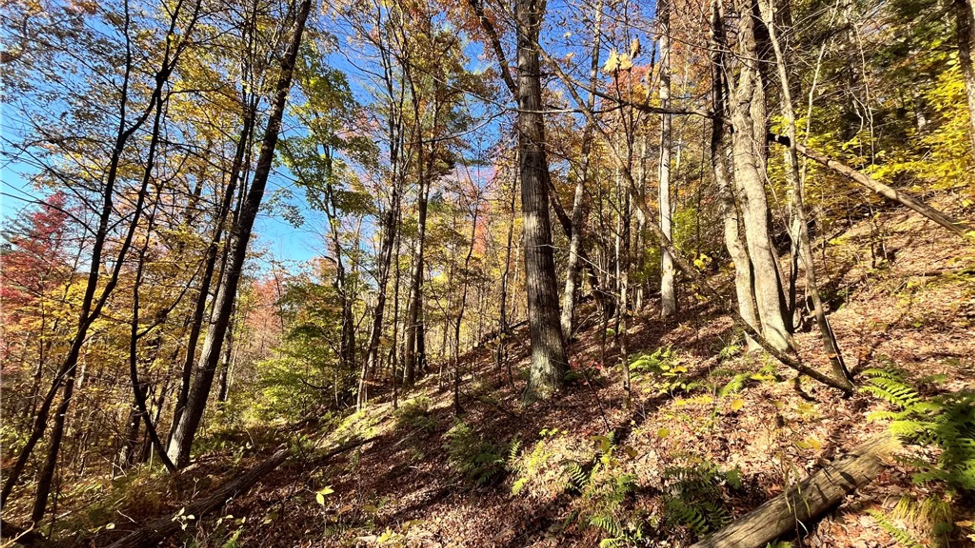 Property at State Route 34, Barton, NY 13734 30