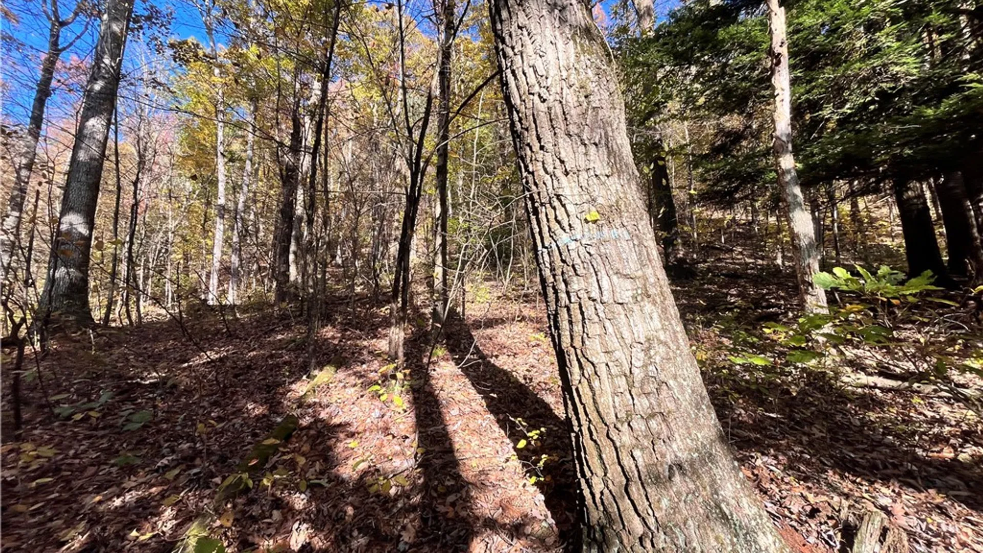 Property at State Route 34, Barton, NY 13734 31