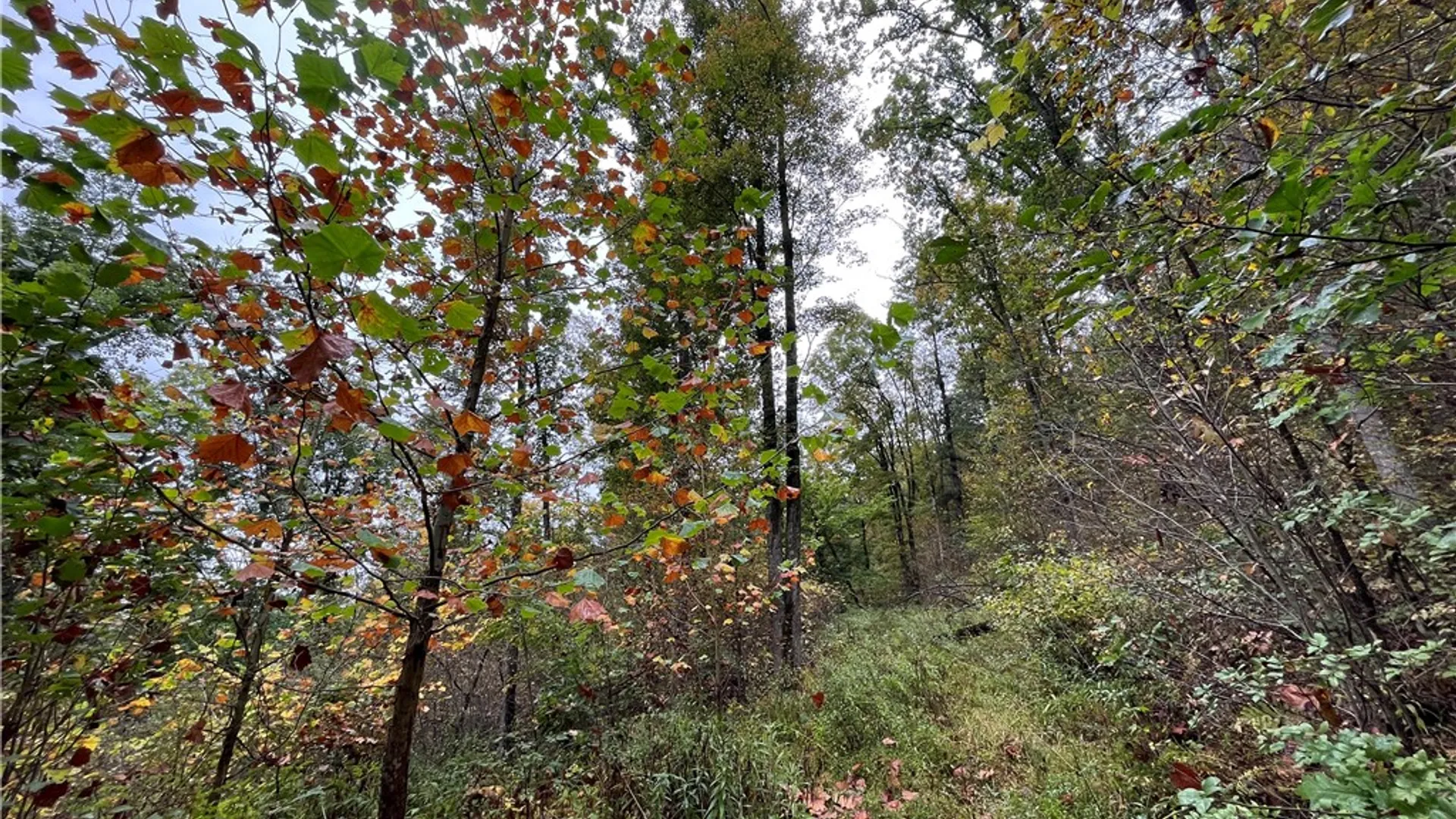 Property at State Route 34, Barton, NY 13734 32