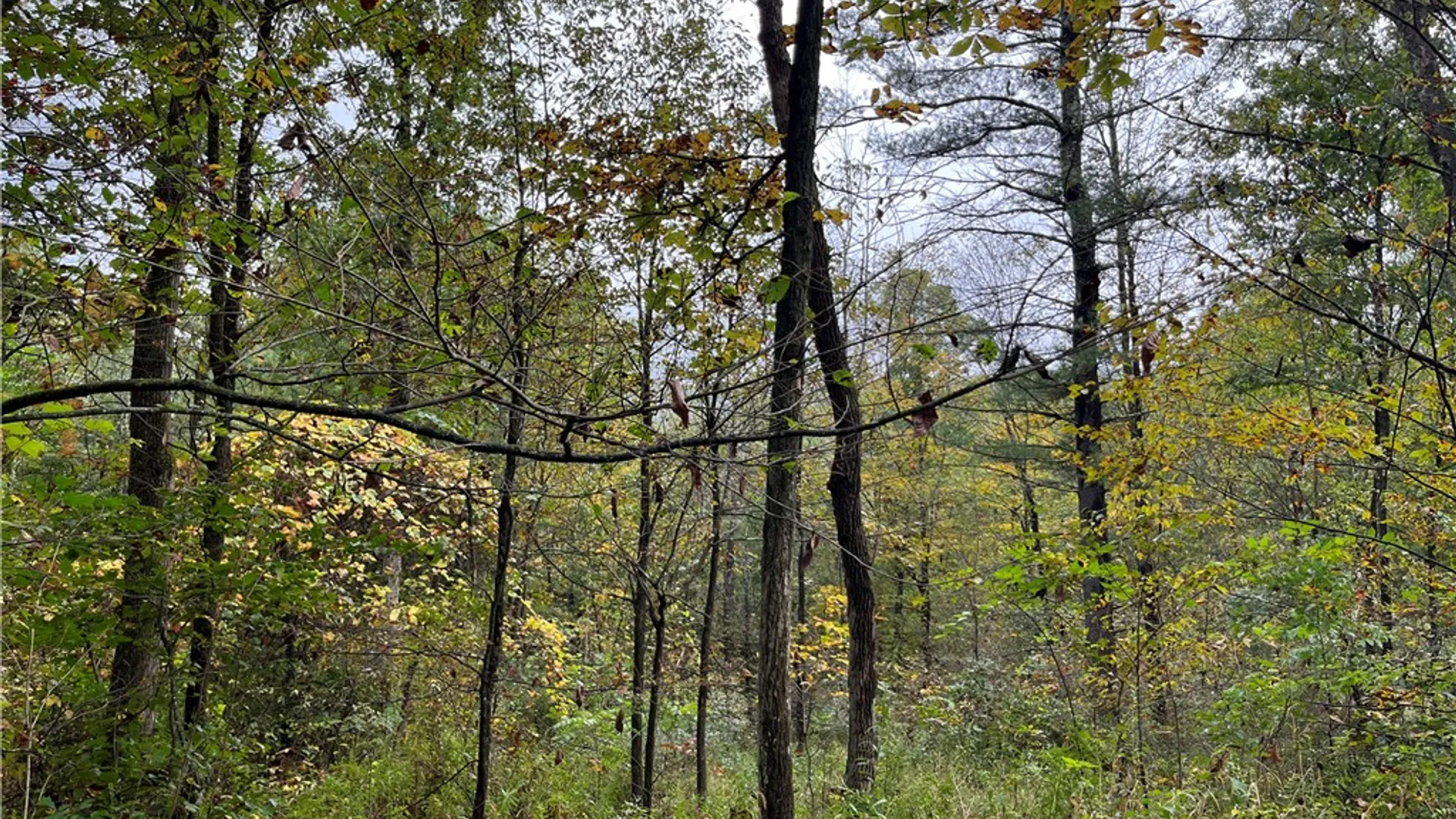 Property at State Route 34, Barton, NY 13734 33