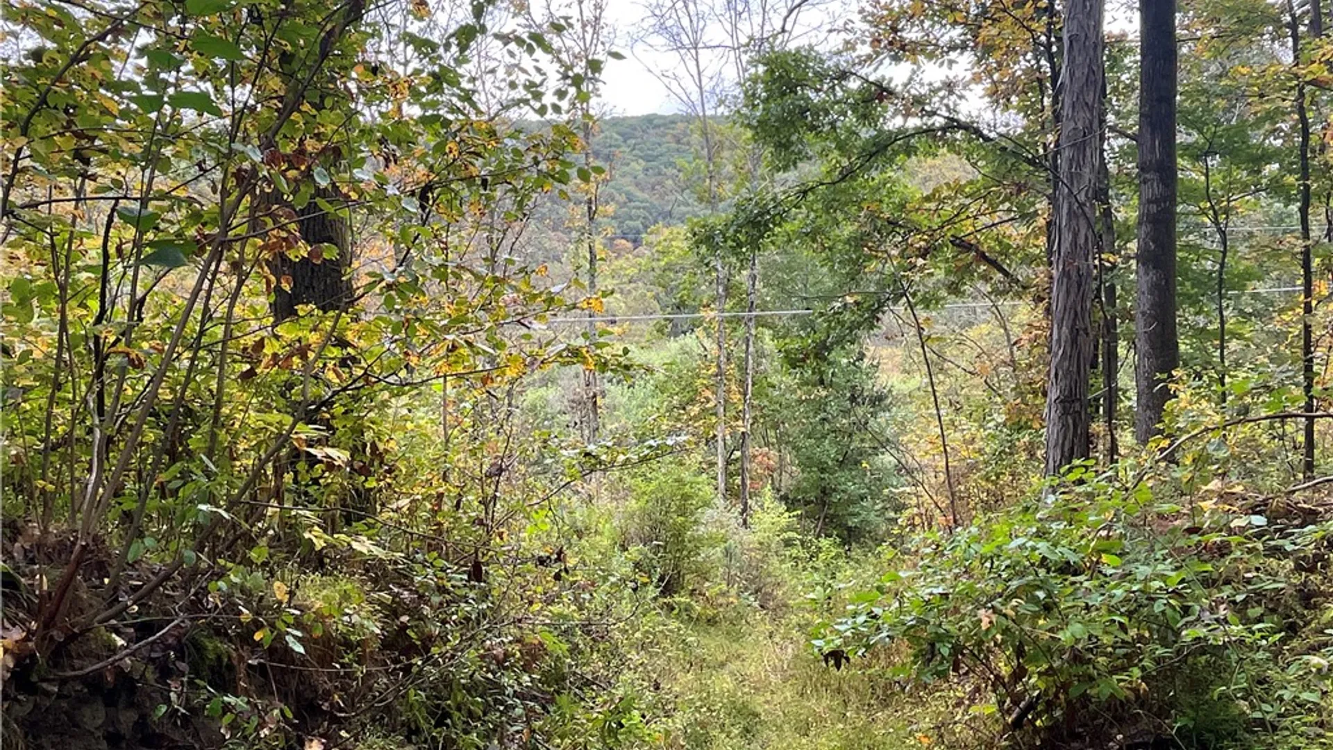 Property at State Route 34, Barton, NY 13734 34