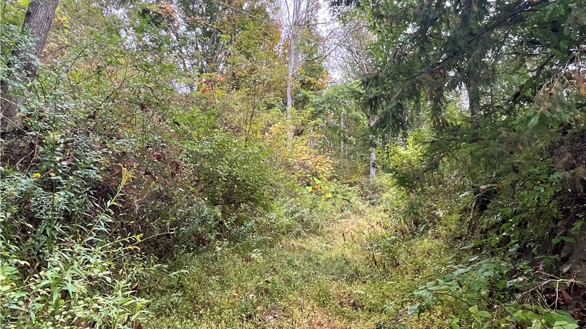 Property at State Route 34, Barton, NY 13734 35