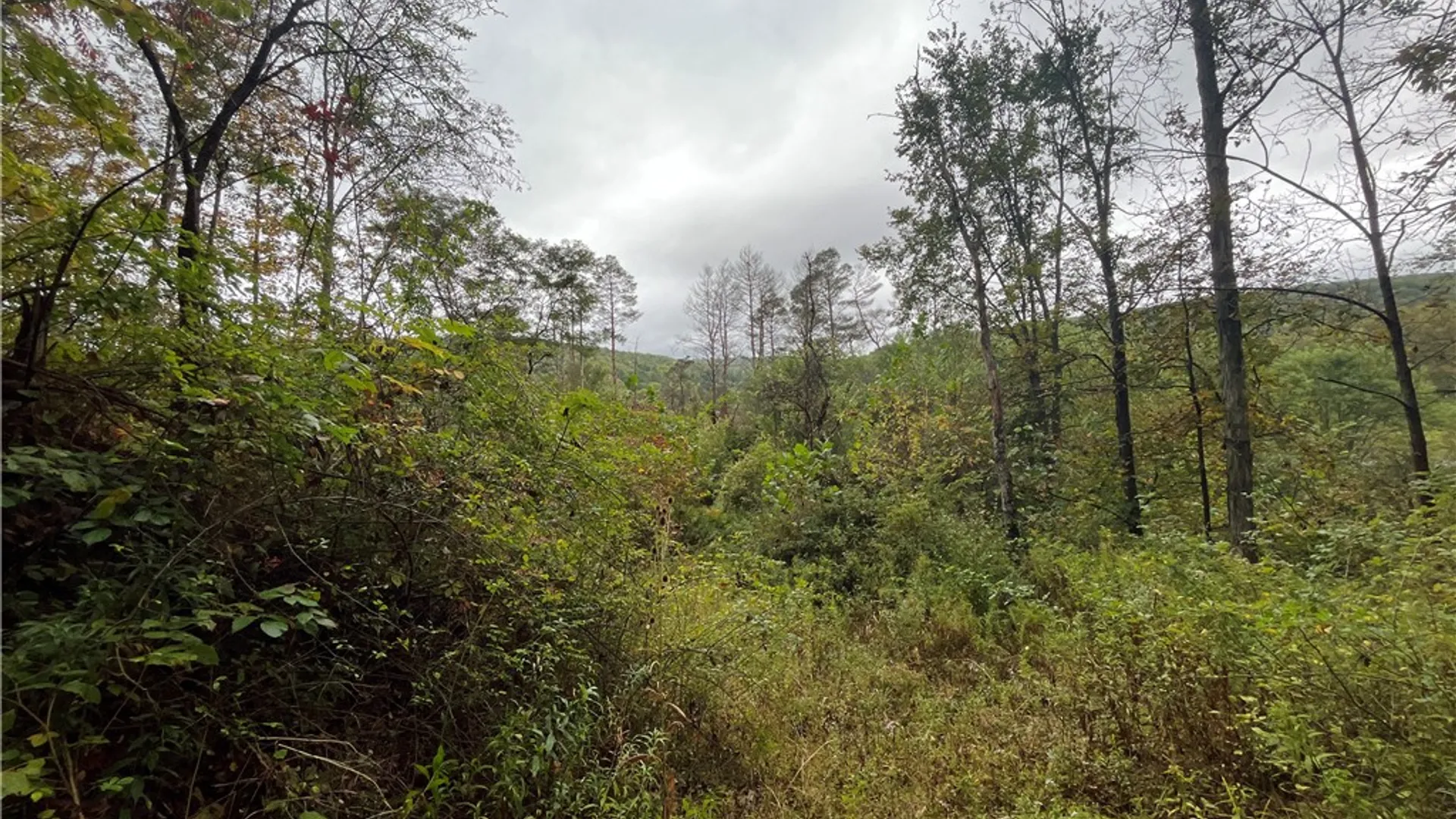 Property at State Route 34, Barton, NY 13734 36