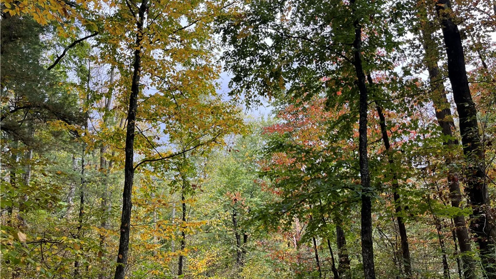 Property at State Route 34, Barton, NY 13734 37