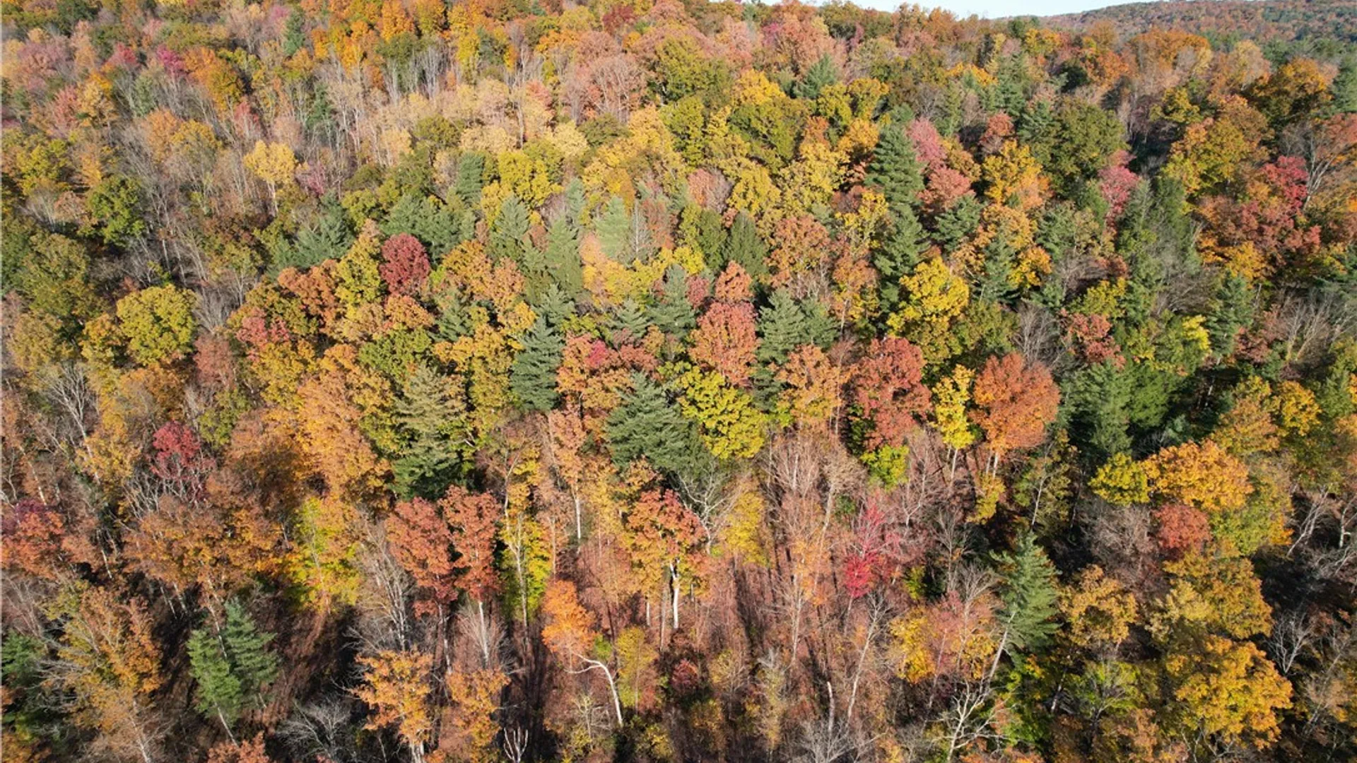 Property at State Route 34, Barton, NY 13734 38