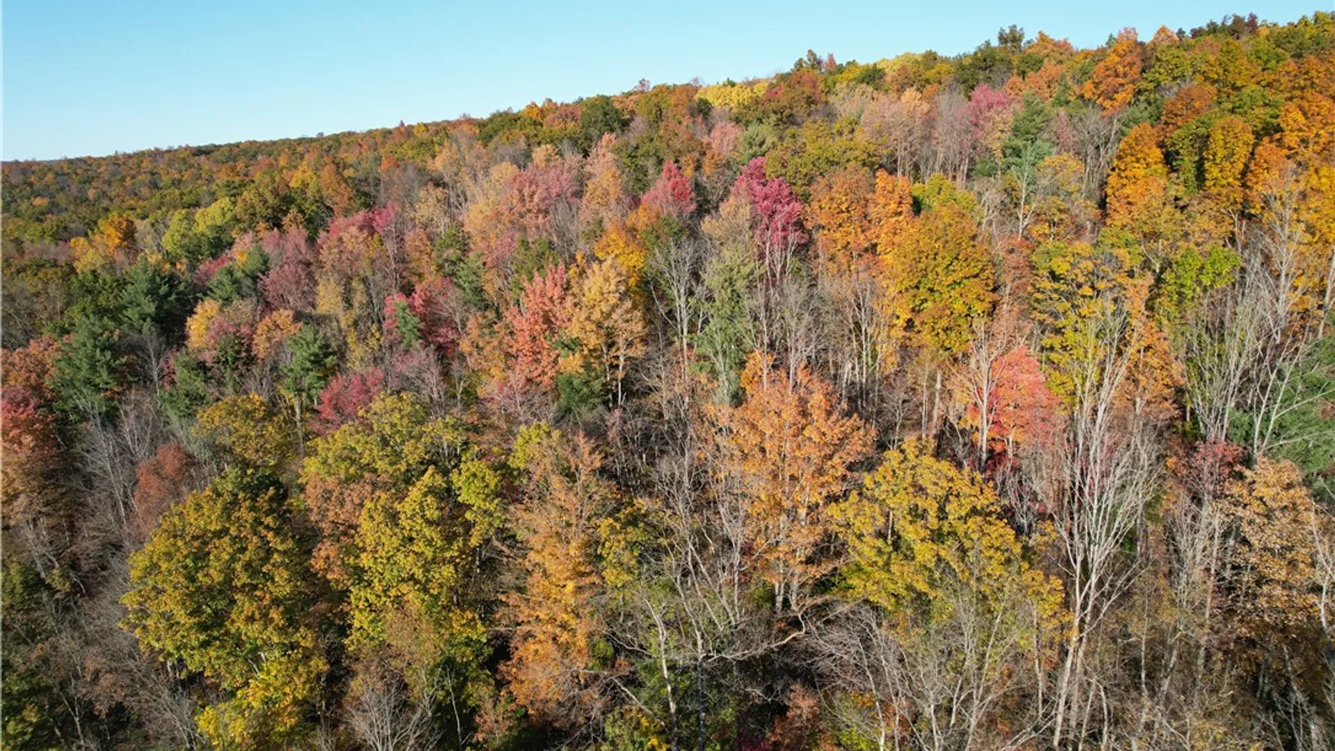 Property at State Route 34, Barton, NY 13734 39