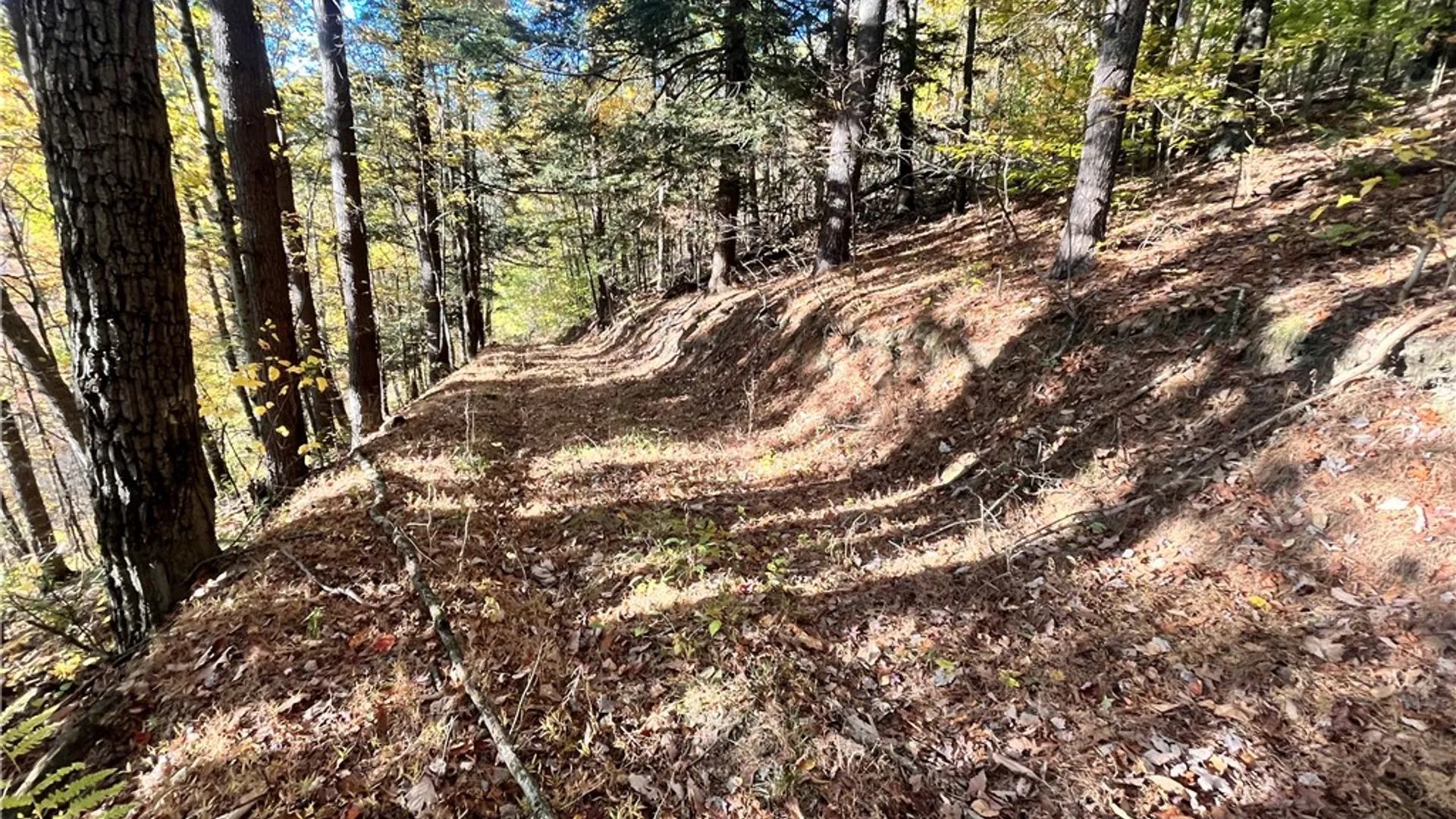 Property at State Route 34, Barton, NY 13734 4