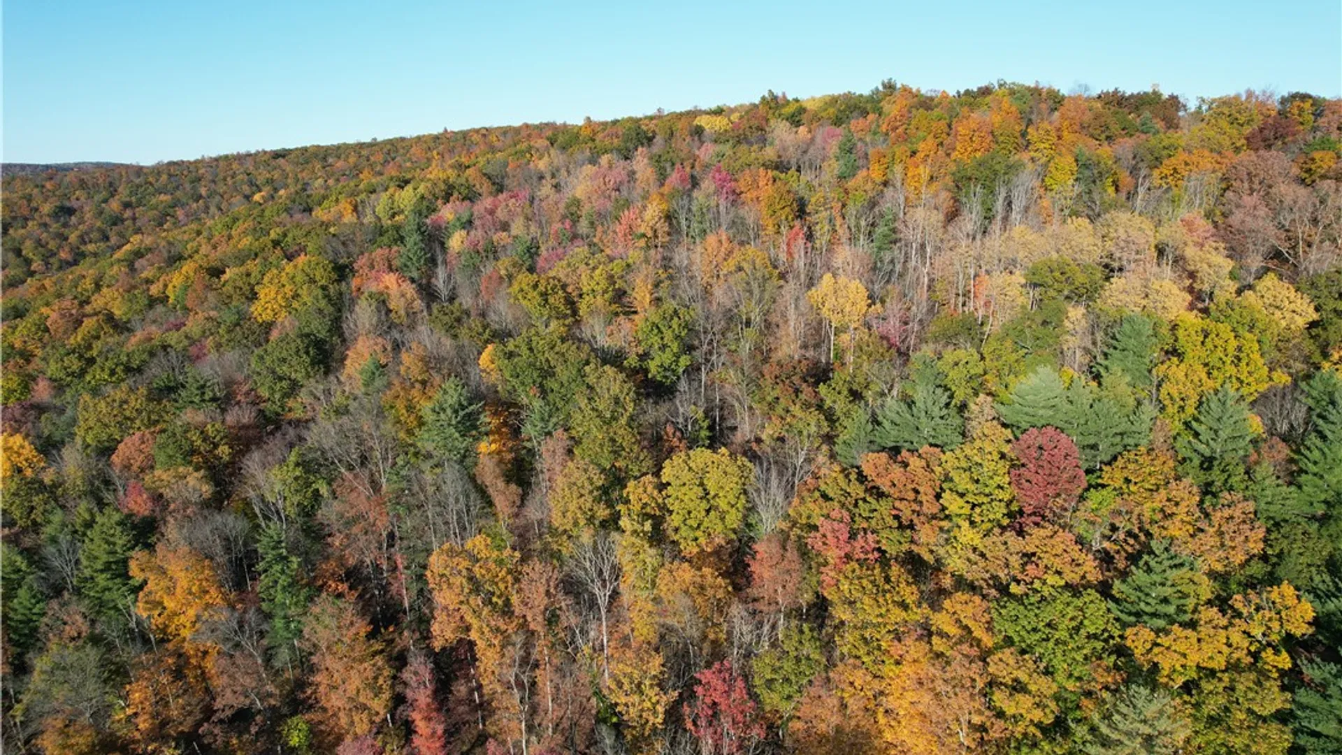 Property at State Route 34, Barton, NY 13734 5