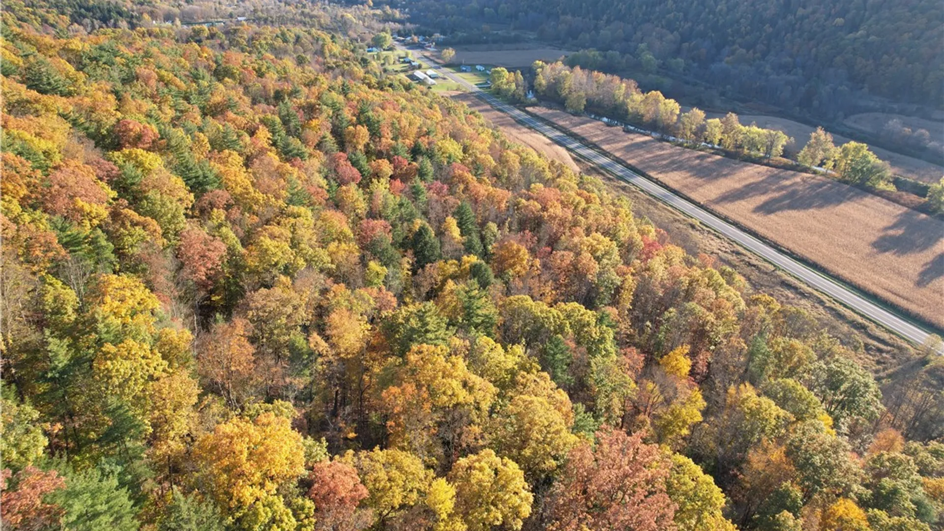 Property at State Route 34, Barton, NY 13734 6