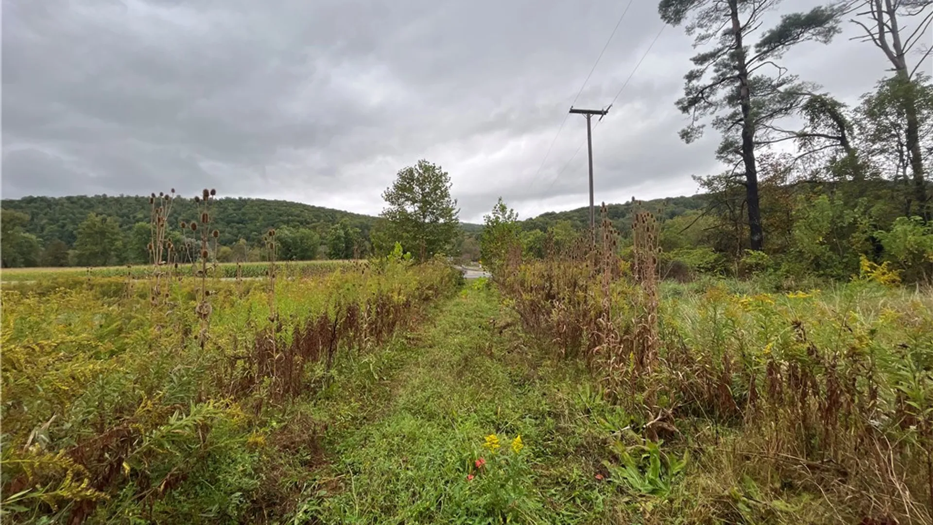 Property at State Route 34, Barton, NY 13734 7