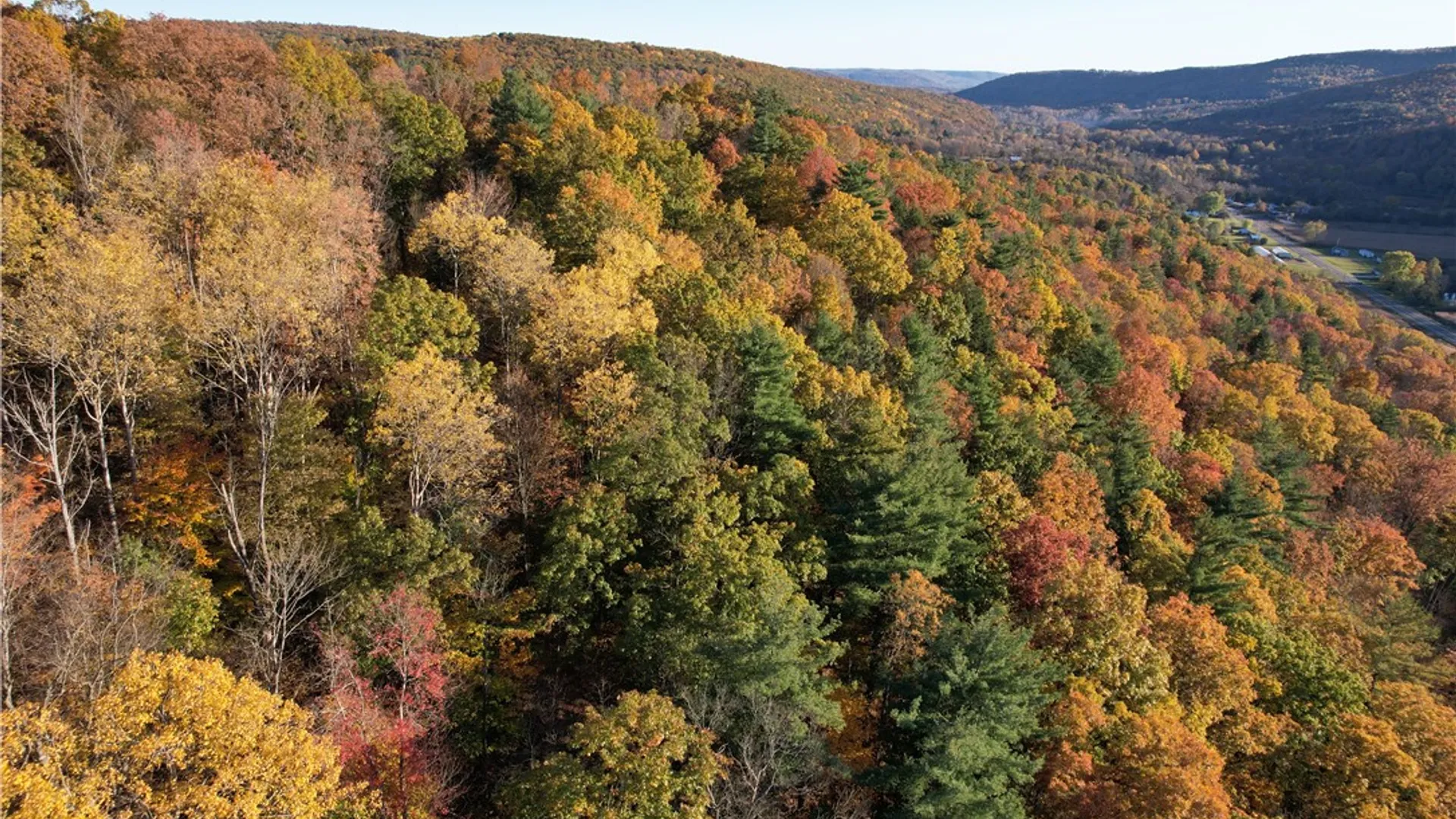 Property at State Route 34, Barton, NY 13734 8