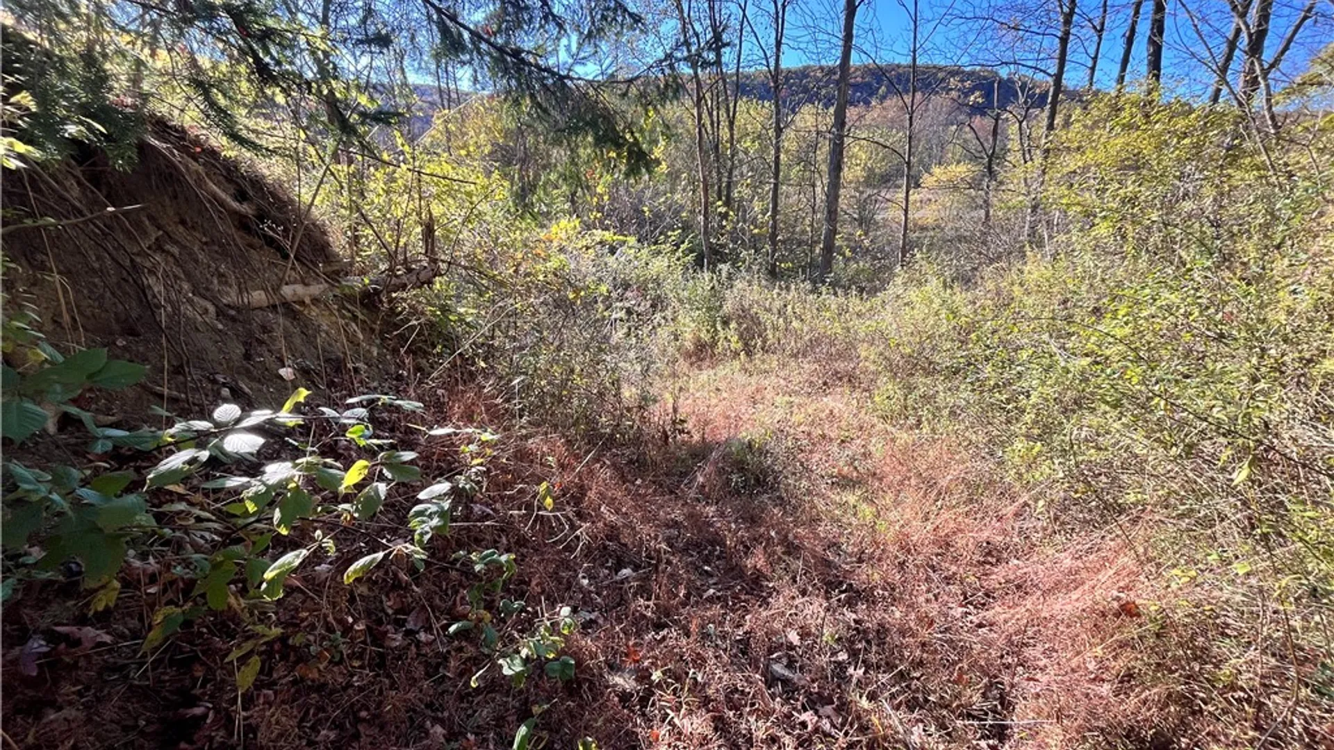 Property at State Route 34, Barton, NY 13734 9