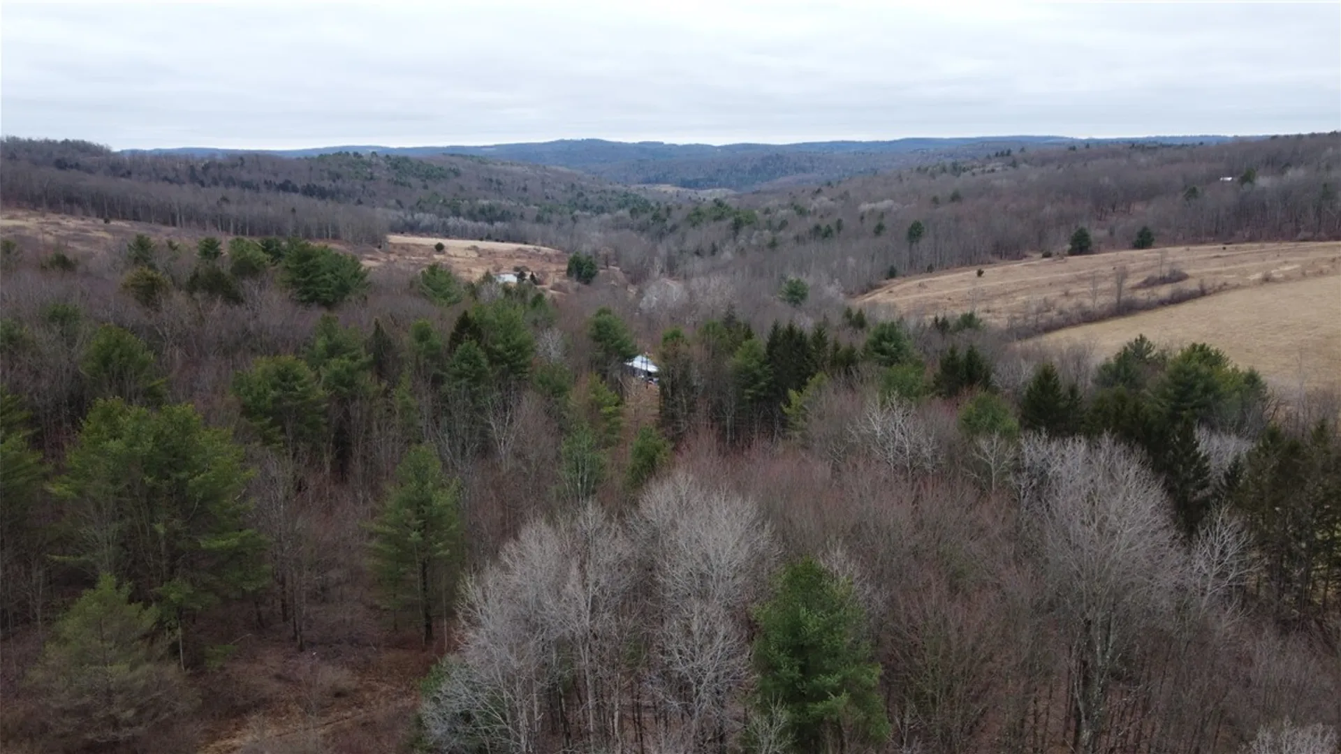 Property at Tyler Hollow Road, Spencer, NY 14883 15
