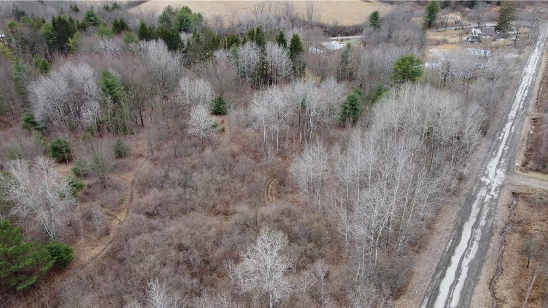 Property at Tyler Hollow Road, Spencer, NY 14883 2
