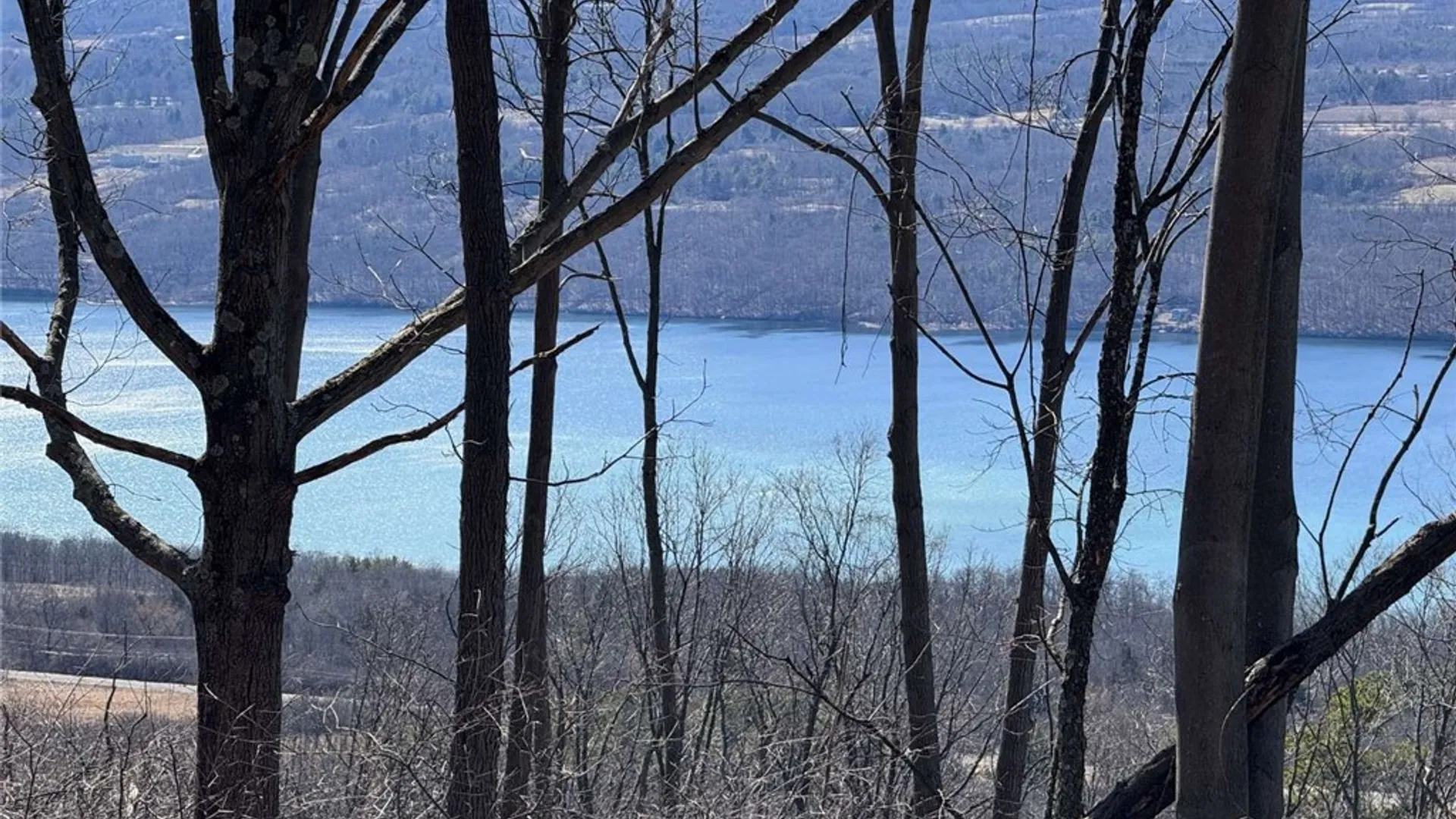 Property at 0 Satterly Hill Road, Hector, NY 14818 5