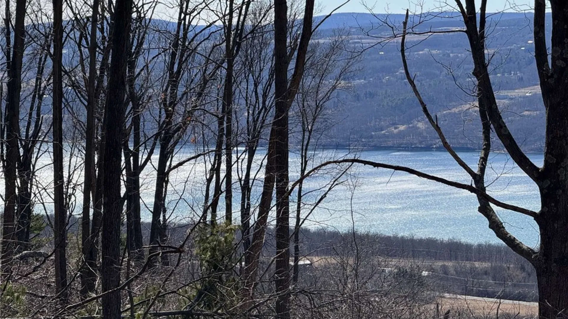 Property at 0 Satterly Hill Road, Hector, NY 14818 6