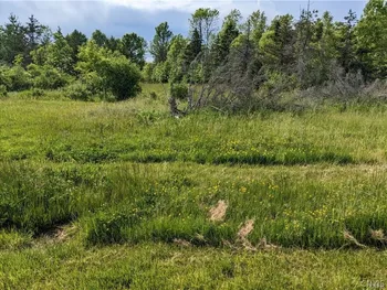 Old Town Springs Road, Lyme, NY 13622