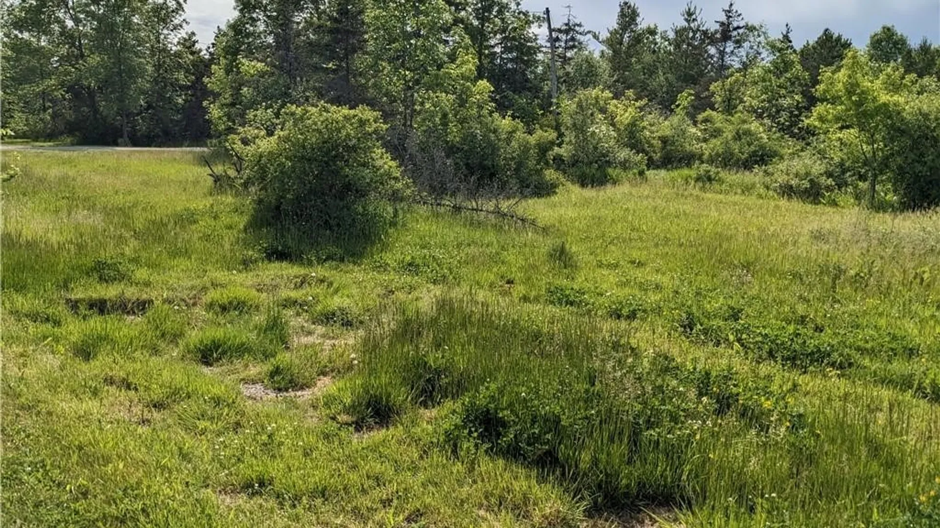 Property at Old Town Springs Road, Lyme, NY 13622 2