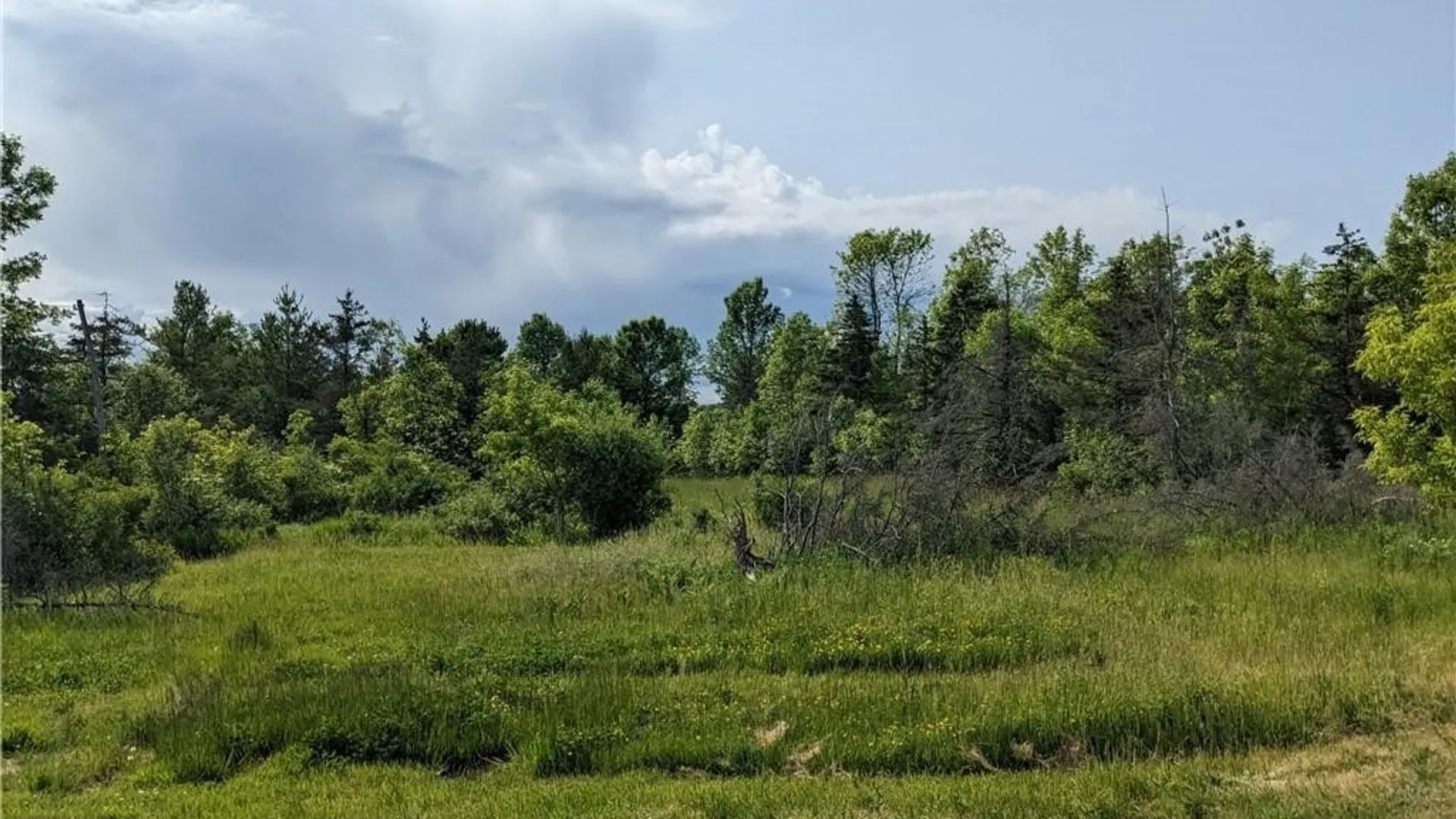 Property at Old Town Springs Road, Lyme, NY 13622 3