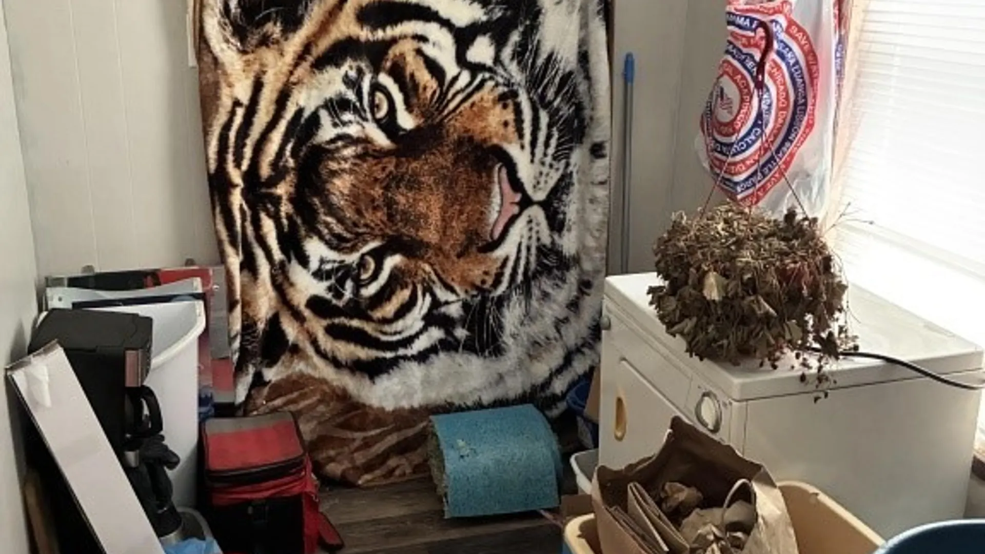 Property at 47 Falconer Street, Jamestown, NY 14701 12