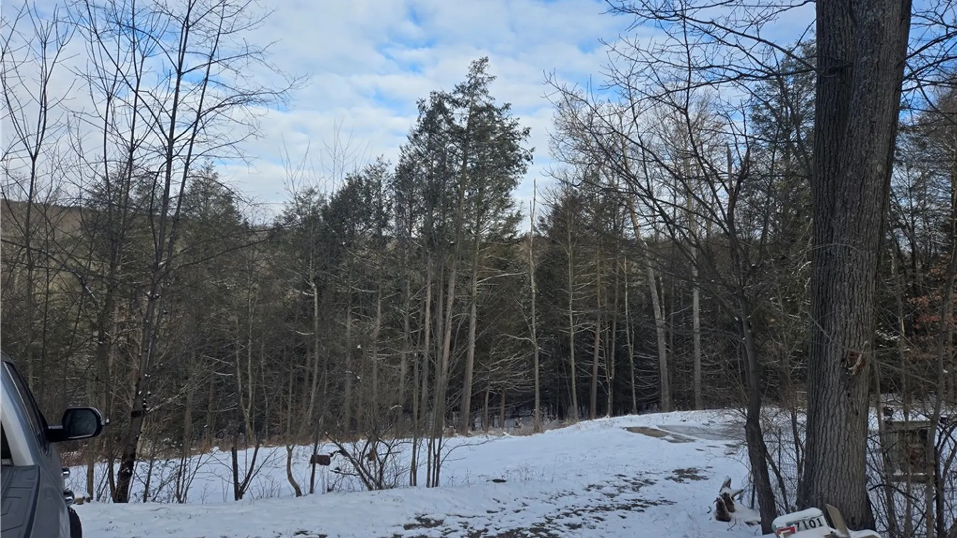 Property at 7101 Boot Jack Road, Bath, NY 14810 2