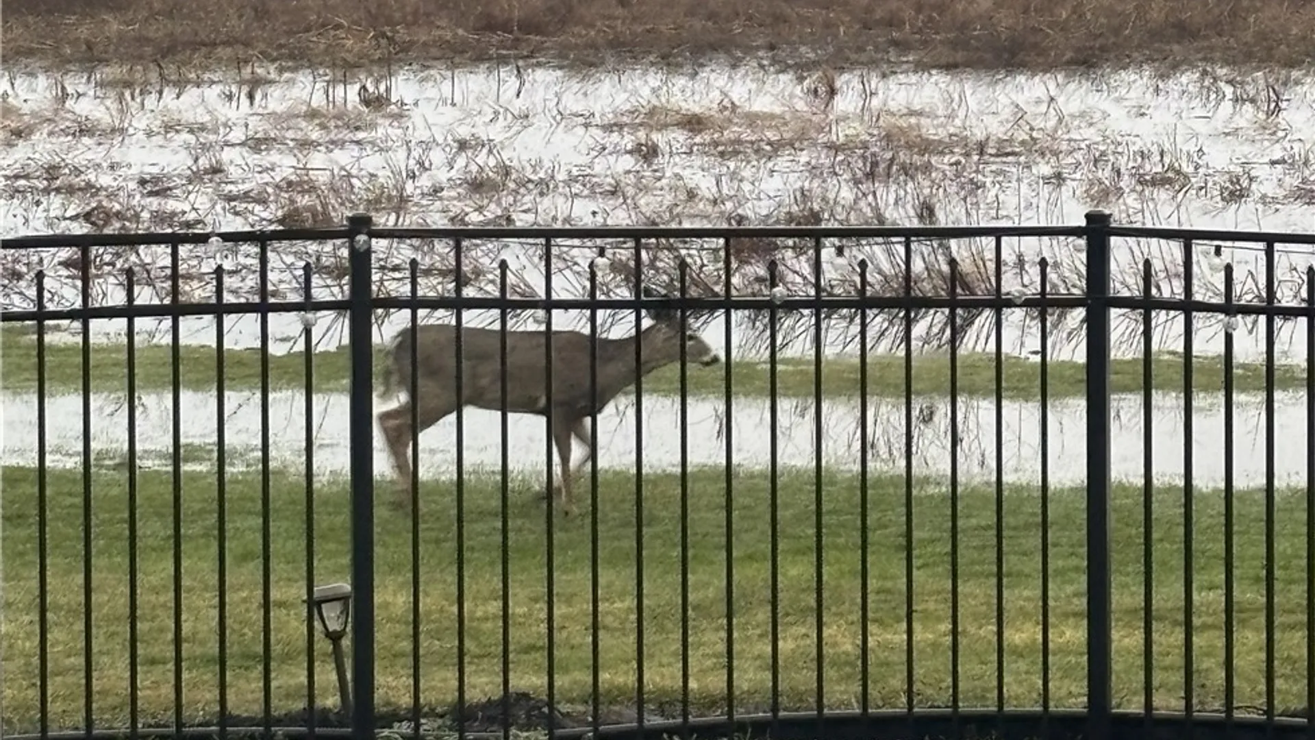 Property at 11046 W Scott Road, Ridgeway, NY 14103 35