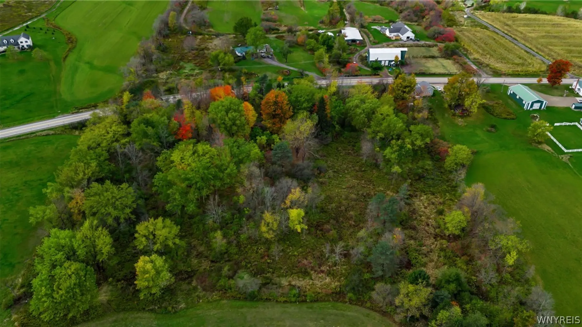 Property at 0 Sisson Highway, North Collins, NY 14111 8