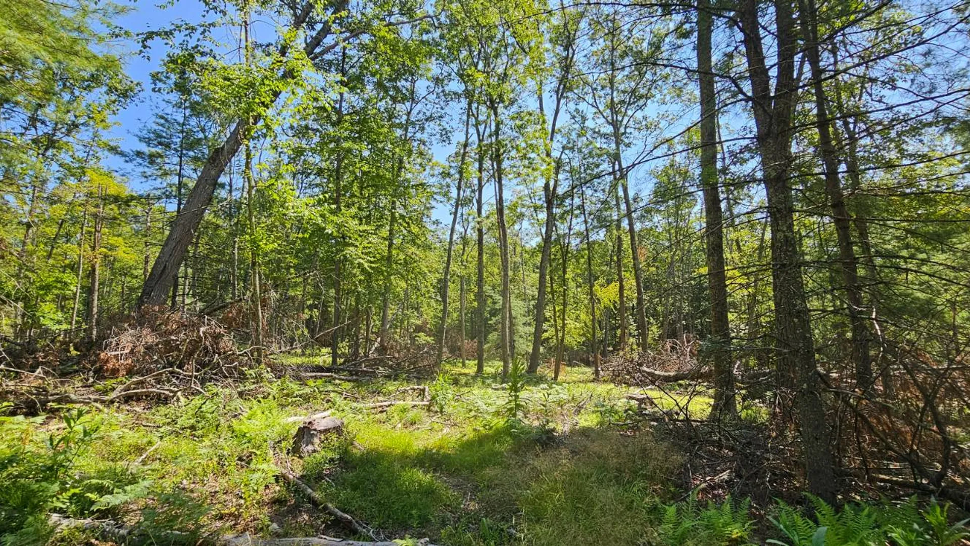 Property at Lot 8.1 Eckes Road, Narrowsburg, NY 12764 10