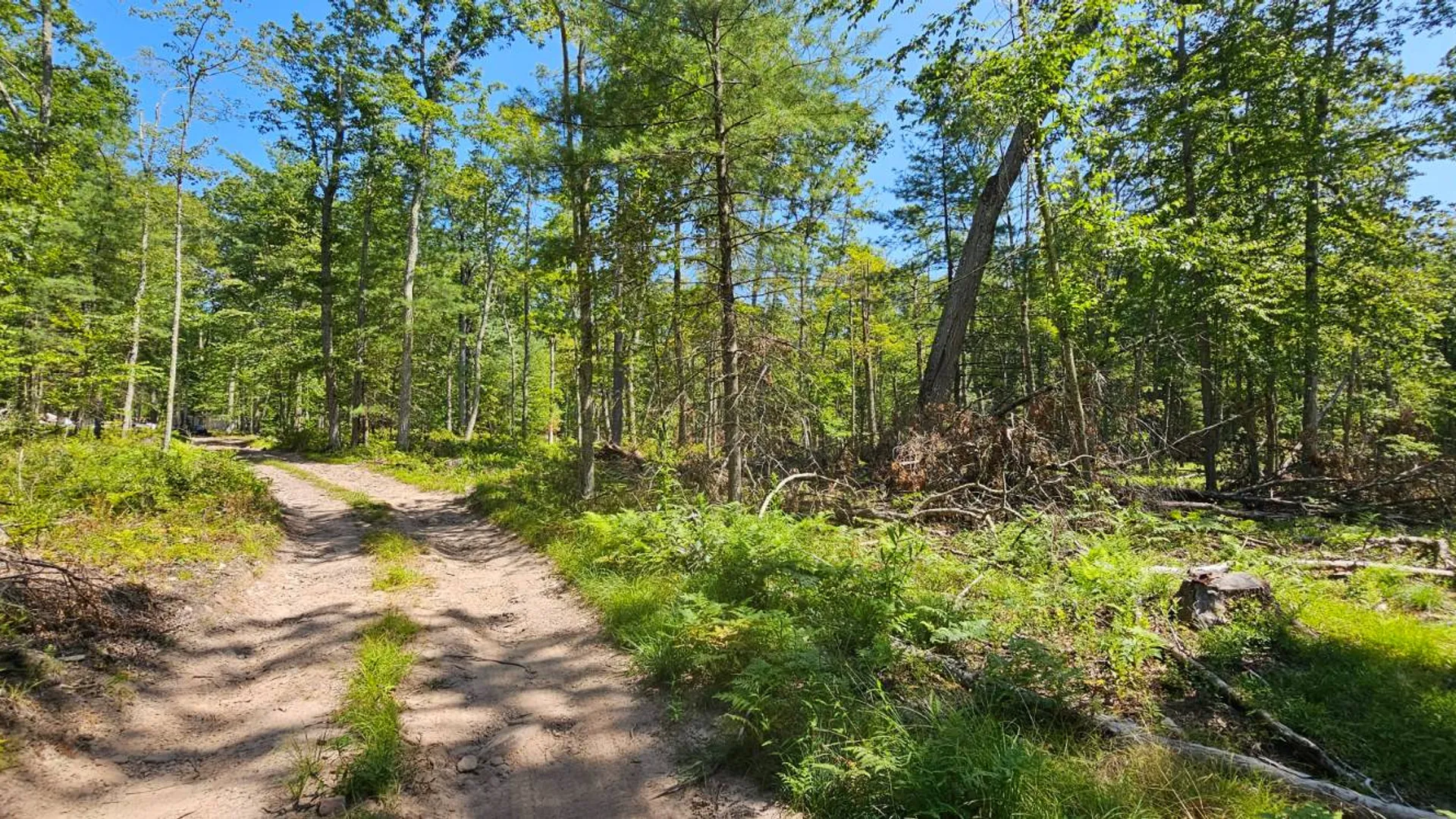 Property at Lot 8.1 Eckes Road, Narrowsburg, NY 12764 11